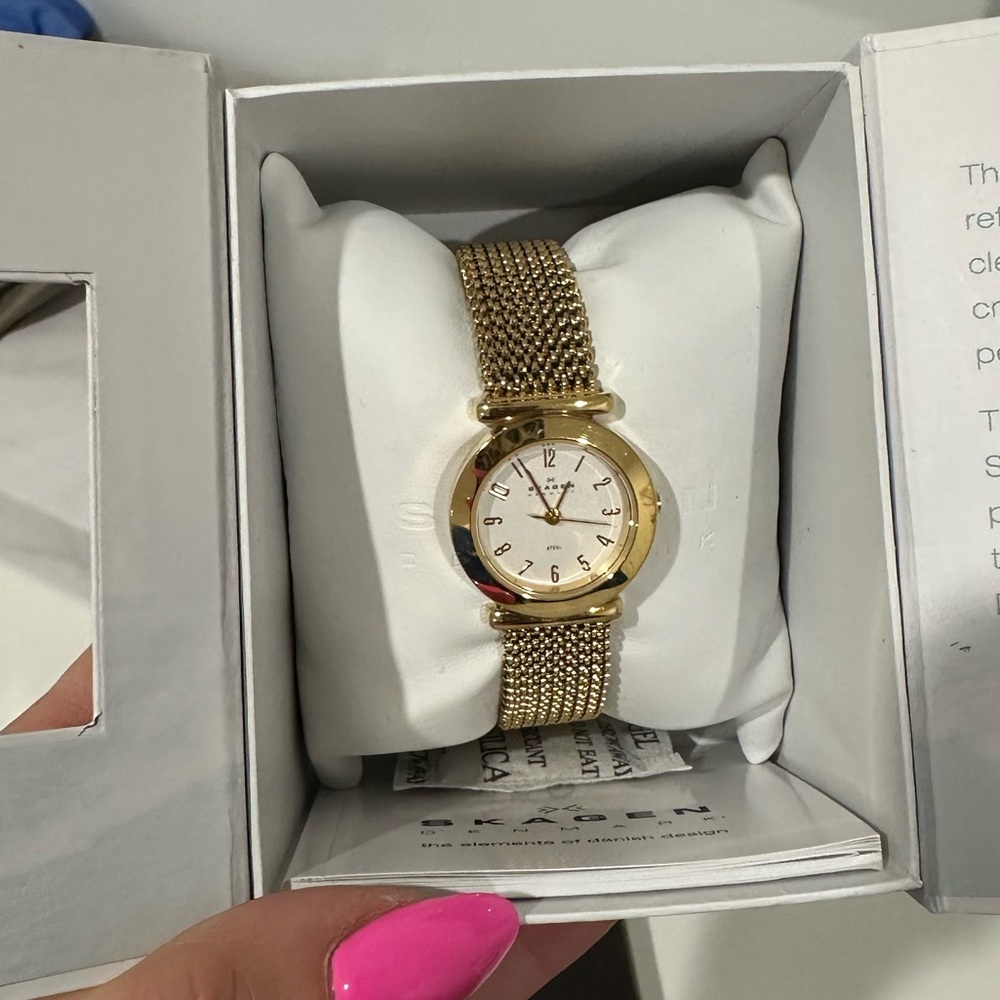 Skagen Watch